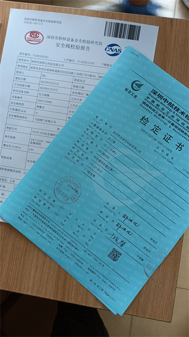 深圳安全閥年審檢測 深圳安全閥年審檢測